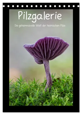 Produktbild von Pilzgalerie - Die geheimnisvolle Welt der heimischen Pilze (Tischkalender 2027 DIN A5 hoch), CALVENDO Monatskalender