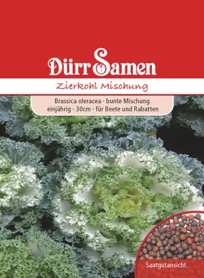 Produktbild von Zierkohl Mischung von Dürr Samen | Kohlsamen von Dürr Samen
