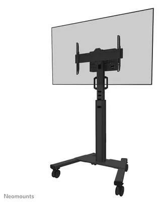 Zdjęcie produktu dla Neomounts FL50S-825BL1, Czarny, Stały stojak podłogowy, Stal, 70 kg, 94 cm (37"), 190,5 cm (75")