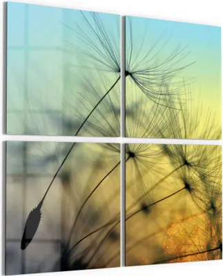 Produktbild von DEQORI Glasbild Echtglas 4x50x50 cm 'Schirmchen in Abendsonne' Wandbilder XXL groß