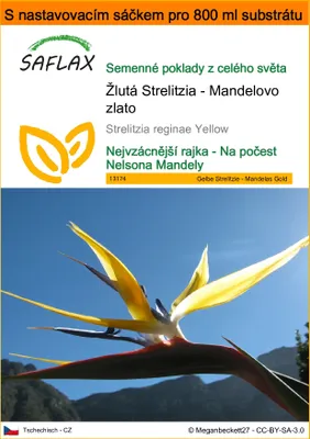 Obrázek produktu pro SAFLAX Garden in the bag - Žlutá Strelitzia - Mandelovo zlato - Strelitzia reginae Yellow - 4 Semena - S pěstebním substrátem v praktickém samovztyčovacím sáčku