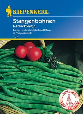 Produktbild von Kiepenkerl Stangenbohnensamen Neckarkönigin