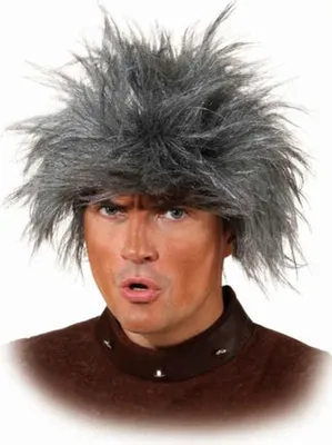 Produktbild von Perücke Wild Man grau