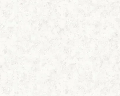 Produktbild von EDEM 807DN40 Spachtel Putz Tapete Struktur matt weiß hell-grau 10,65 m2
