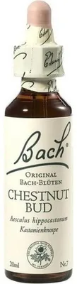 Productafbeelding van Bach-bloesemextract, kastanjebloem, 20 ml oplossing