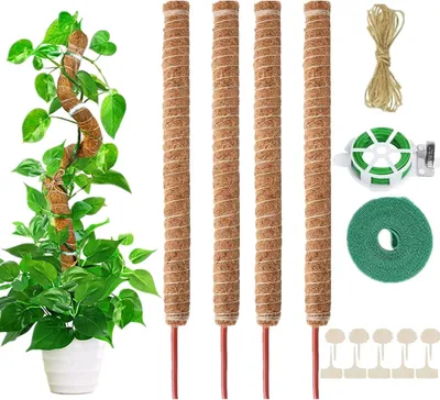 Productafbeelding van Famanu plantensteun, flexibele mosstokken - set van 4 plantensteunen