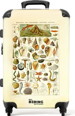 Obrázek produktu pro NoBoringSuitcases.com® Velký kufr - Zvířata - Moře - Ilustrace - Korály - Mušle - Vintage - Kombinovaný zámek TSA - Pevná skořepina na kolečkách - 72 litrů - Cestovní kufr - 66 cmKufr střední 67x43x25 cm, 72L,