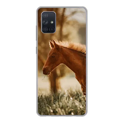 Produktbild von MuchoWow® Handyhülle Schutzhülle Hülle für Samsung Galaxy A71 Pferd - Licht - Wiese Silikon Softcase Handy Hülle - Kartenbesitzer