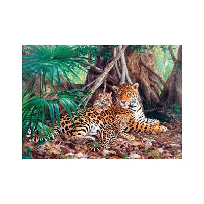 Obrázok produktu pre Puzzle 3000 dielov Jaguári v džungli 300280