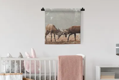 Produktbild von MuchoWow® Wandteppich Wandbehang Hirsche - Geweihe - Wald - Gras 60x60 cm Tapisserie Dekoration Wandtuch - Dekorationen - Wand Decke