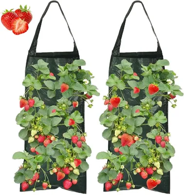 Produktbild von Erdbeerpflanztaschen 2 Stück, 8 Löcher, mit Griffen, für Balkonanbau, grün