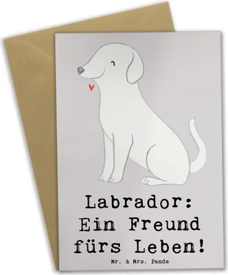 Produktbild von Mr. & Mrs. Panda Klappkarte Labrador Freund - Grau Pastell - Geschenk, weihnachtskarten, Hunderassen Vielfalt, Hunderasse, Grußkarten, freundlicher Hund, Therapiehund