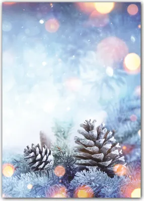 Produktbild von 25 Blatt Motivpapier Briefpapier (Weihnachten-5252, DIN A4) wunderschöne Tannzweige im Schnee bei Sonnenschein mit Zapfen