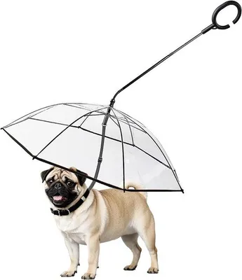 Immagine prodotto di Pettorina impermeabile per cani con cinghie regolabili, ideale per le passeggiate.
