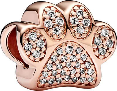 Produktbild von Pandora Charm 781714C01 Sparkling Paw Print Tatze Moments