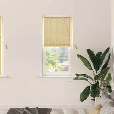 Produktbild von Möbel Fensterjalousien und -schattierungen Natur 60 x 160 cm Bambus - Rollos 42006878