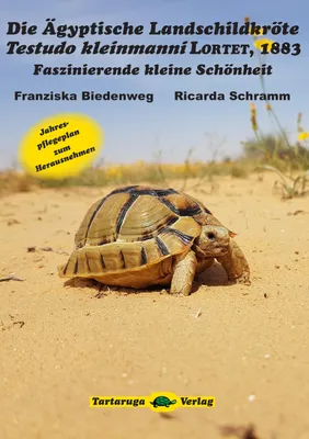 Produktbild von Die Ägyptische Landschildkröte Testudo kleinmanni LORTET, 1883