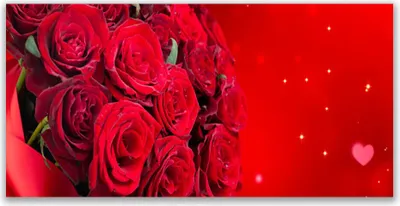 Produktbild von Glasbilder 120x60 Wandbild Druck auf Glas Rosen Pflanzen