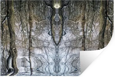 Obrázok produktu pre MuchoWow® Nálepka na stenu - Strom - Umenie - Psychedelické - 120x80cm - Samolepiaca a polohovateľná