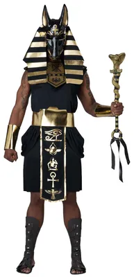 Produktbild von Luxus-Anubis-Gott Kostüm für Herren - S / M