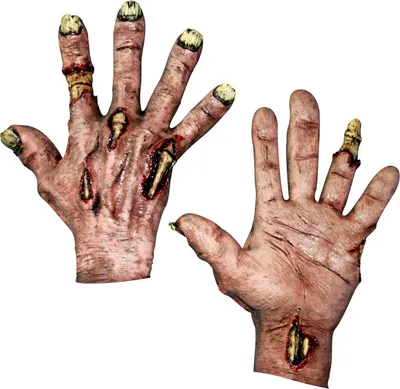 Immagine prodotto di Zombie Meat Hä nde Taglia unicaö ß e va bene per tutti