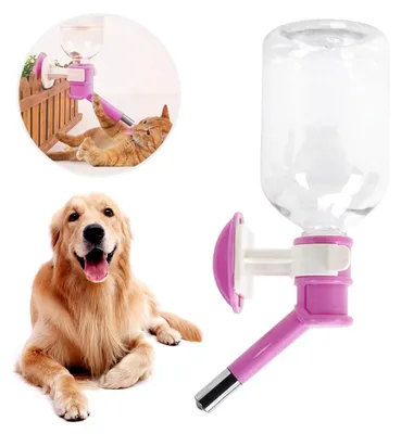 Productafbeelding van Drinkfles hond - Automatische waterfles - 500 ml - Roestvrij staal - Rolkogelmondstuk - Voor onderweg