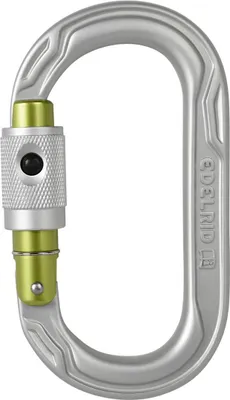 Oval Power 2500 Permalock Karabiner von Edelrid; silber mit grünem Verschlussmechanismus; für Klettern geeignet.