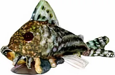 Productafbeelding van CeramicNature Sterbai Corydoras Plush
