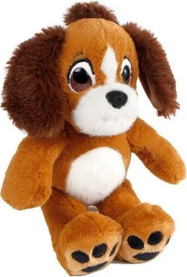 Immagine prodotto di Portami a casa abbraccio 23 x 31 cm-cane