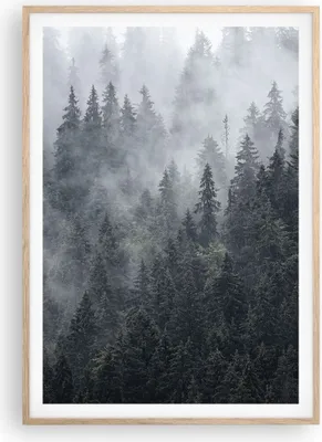 Produktbild von Gerahmtes Poster - Rahmen in heller Eiche - Wald Baum Natur - 70x100 cm - Wand Bild - Wanddeko - Wandbilder - Wandposter - Bilderrahmen - Bilder - Kunstdruck - Wandbild - P2NPA70x100-4074