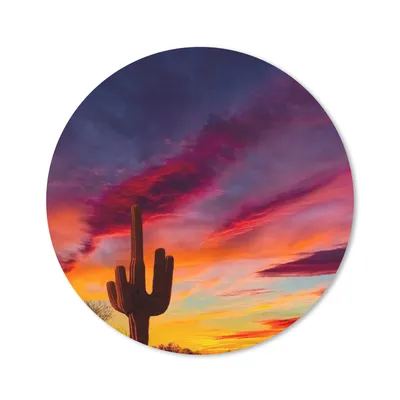 Produktbild von MuchoWow® Mauspad Mousepad Kaktus - Himmel - Sonnenuntergang - Lila - Rosa 20x20 cm - Mousepads - Maus Mat - Pad - Mausunterlage - Schreibtischmatte