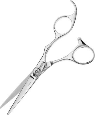 Zdjęcie produktu dla SilkCut 5,5