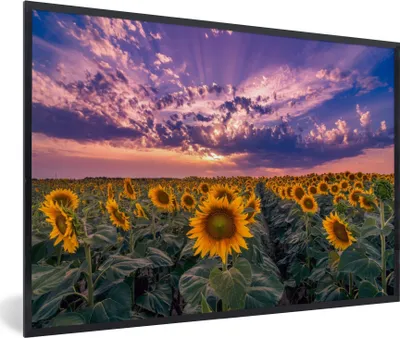 Produktbild von MuchoWow® Gerahmtes Poster Blumen - Himmel - Lila - Sonnenuntergang 60x40 cm - Poster mit Schwarzem Bilderrahmen Wandposter Rahmen Foto Bilder - Printing - Wanddeko Schlafzimmer