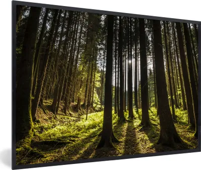 Produktbild von MuchoWow® Gerahmtes Poster Baum - Natur - Sonne - Wald 90x60 cm - Poster mit Schwarzem Bilderrahmen Wandposter Rahmen Foto Bilder - Fotorahmen - Foto-Plakat