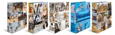 Immagine prodotto di Herma 7163 Cartella con motivi animali - A4, 70 mm, assortiti
