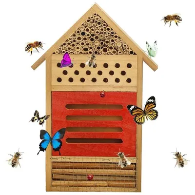 Productafbeelding van Insectenhotel van Natuurlijk Hout - Bijenhotel - Vlinderhabitat - Lieveheersbeestjes - Bladsnijders - Tuindecoratie