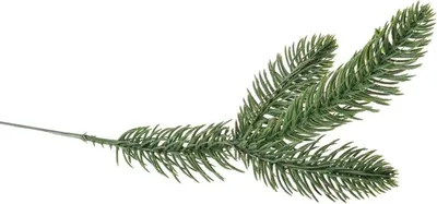 Zdjęcie produktu dla gałązka 12szt. iglasta - sztuczna roślina 27cm. 97CAN12-5