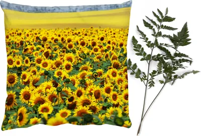 Produktbild von MuchoWow® Zierkissen Sofakissen Wohnzimmer Dekokissen 60x60 cm Sonnenblume - Blumen - Natur - Sitzfläche - Foto Polster
