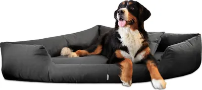 Produktbild von tierlando TRIVIA | Komfort Eckhundebett robustes Polyester Hundebett Hundesofa - Größe: 120x120cm | Farbe: 02 Graphit