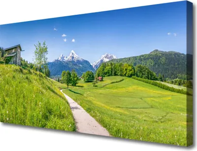 Produktbild von Tulup Leinwand-Bilder 100x50 Wandbild Canvas Kunstdruck Wiese Fußpfad Natur