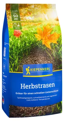 Produktbild von Kiepenkerl Saatgut Kiepenkerl Herbstrasen 1 kg für ca. 50 m²
