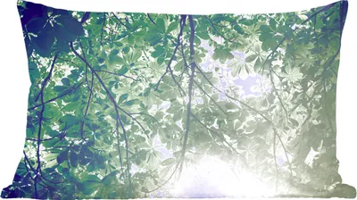 Produktbild von MuchoWow® Zierkissen Sofakissen Wohnzimmer Dekokissen 50x30 cm Zweige im Sonnenlicht - Wohnzimmerdekoration - Polster mit Photo