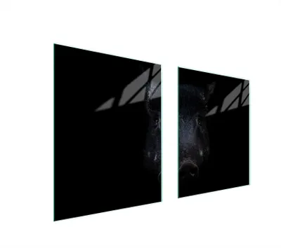 Obrázok produktu pre Ochranná sklenená doska 85x52 cm pre varnú dosku a dosku na krájanie