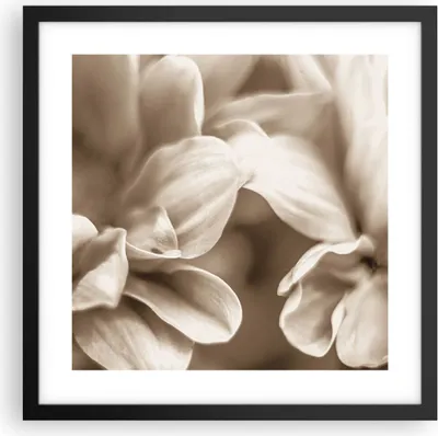 Produktbild von Gerahmtes Poster - Schwarzer Rahmen - Blumen Boho ohne - 40x40 cm - Wand Bild - Wanddeko - Wandbilder - Kunstposter - Wandposter - Bilderrahmen - Bilder - Kunstdruck - Wanddekoration - P2BAC40x40-4767