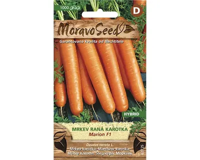Zdjęcie produktu dla Marchew wczesna MARION F1 - mieszaniec 63725