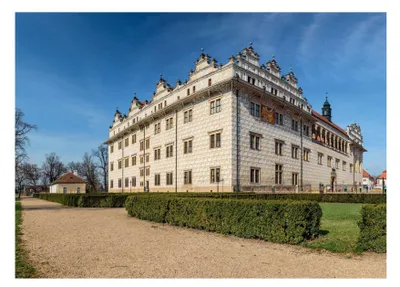 Productafbeelding van DINO Puzzel, Litomyal, 1000 stukjes