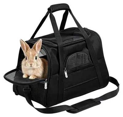 Immagine prodotto di Trasportino portatile per piccoli animali domestici