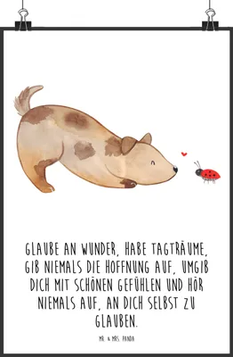 Produktbild von Mr. & Mrs. Panda Bild Hund Marienkäfer DIN A1 - Weiß - Geschenk, drucke, Zuversichtlich, wanddeko, Sprüche, Plakat, Kunstdruck, Wandbild, Mischlingshund, Positiv, Wunder