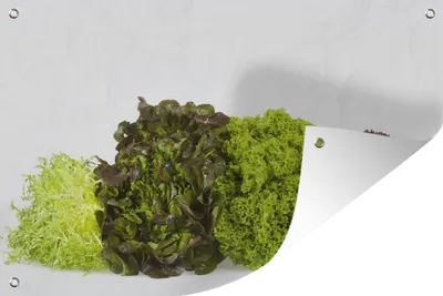 Produktbild von MuchoWow®