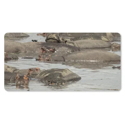 Produktbild von MuchoWow® Schreibtischunterlage Nilpferd - Teich 80x40 cm - XXL Mauspad - Gaming Mauspad